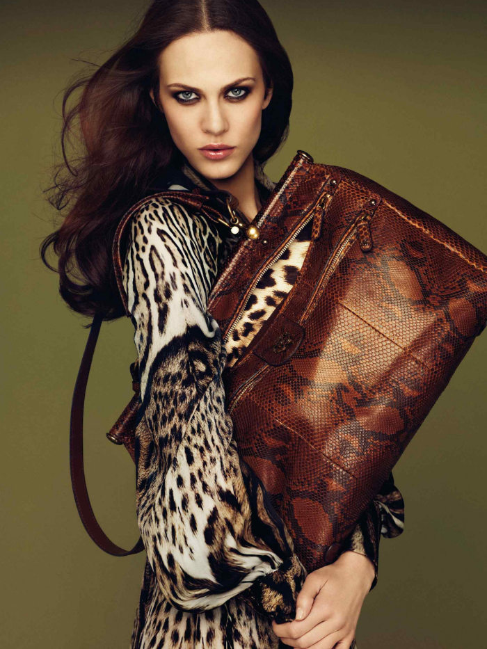 Roberto Cavalli 2011秋冬Look Book 高清圖片
